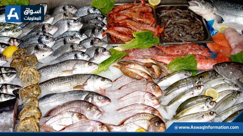 الفيليه يصل 250 جنيهًا.. أسعار الأسماك في أسواق الجملة اليوم الإثنين 24 رمضان