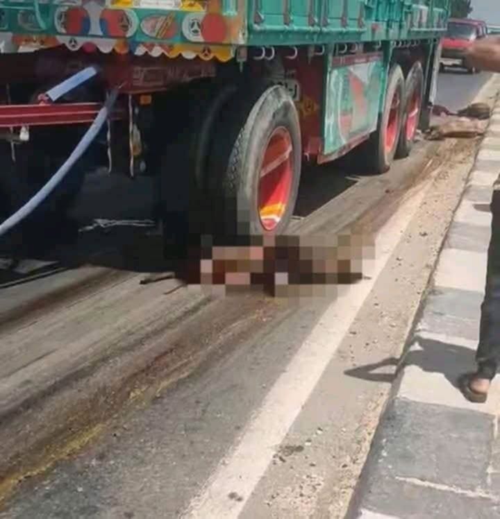 سيارة تريلا تدهس 20 رأسًا من الأغنام على طريق طنطا كفرالشيخ الدولي