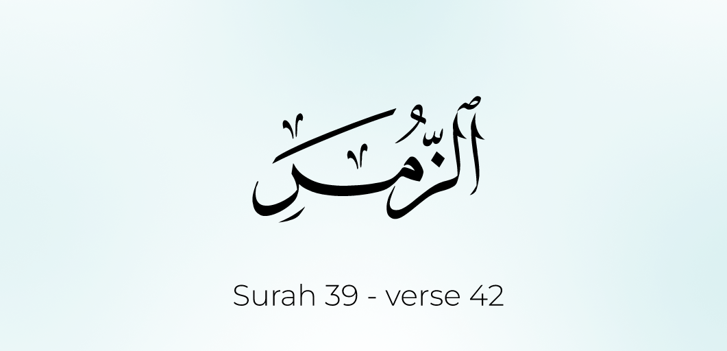 ‏خواطر بالبلدي.. يكبتها: فتحي عثمان