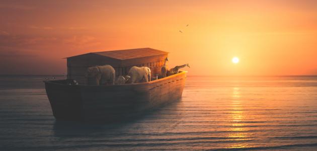 خواطر بالبلدي.. يكتبها فتحي عثمان.. سيدنا نوح مع الخيانة والعصيان