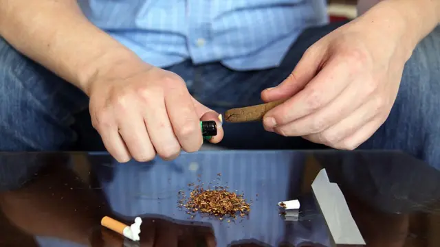تصرحات سعاد صالح غير مسؤولة.. صندوق علاج الإدمان يحذر من تعاطي الحشيش