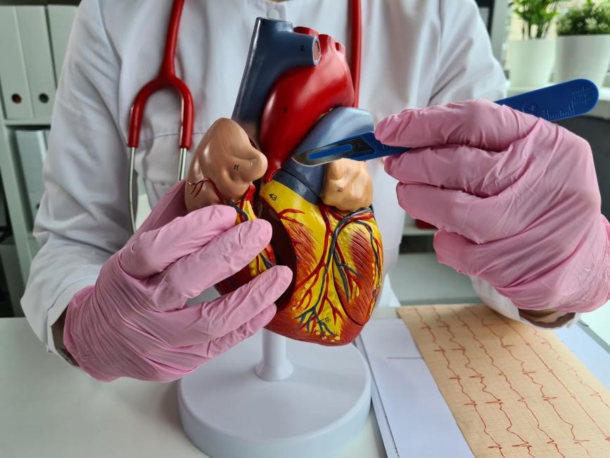 لأول مرة في التاريخ.. تحويل مسار الدم من الشريان التاجي بدون شق صدر المريض